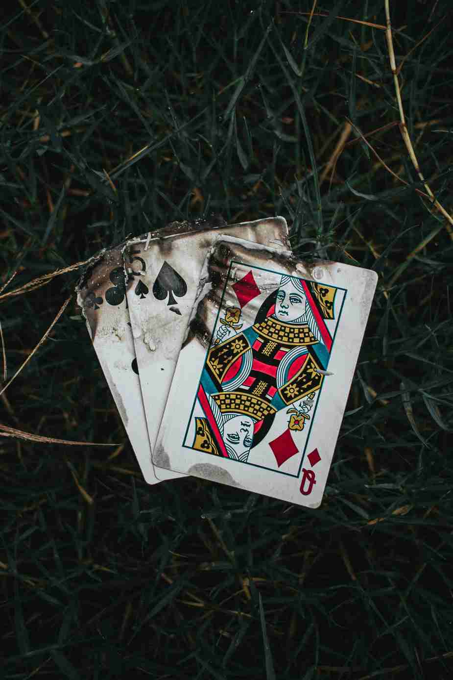 AmunRa Casino: Un'Analisi Approfondita dell'Esperienza del Giocatore
